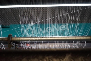 Μονάδα παραγωγής διχτυών Olivenet