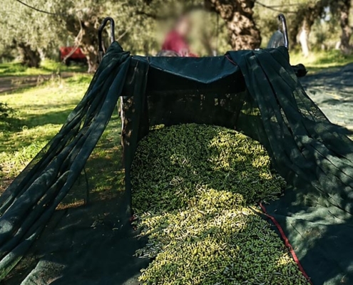 olive-net-premium-plus-2 Δίχτυ ελαιοσυλλογής olive net premium plus
